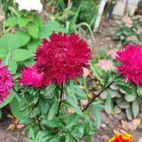 ,,, :: Сергей Тимоновский