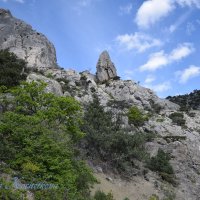 Природа Крыма :: Amazing Cosmea