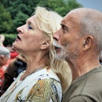 *** :: Виктор Никитенко