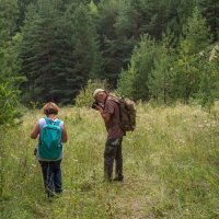 Увлеченные :: Наталья Димова