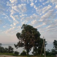 В Новом Афоне :: Ирэн 