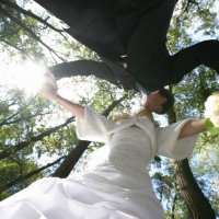 Летняя свадьба :: Александр 