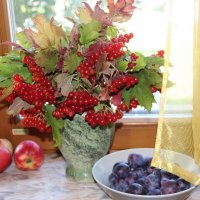 Мой дом. :: Венера Чуйкова Мой дом. :: Венера Чуйкова