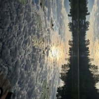 Утренний рассвет. :: Галина Левина