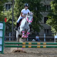 Грация и Красота! :: Александр Гриднев Грация и Красота! :: Александр Гриднев