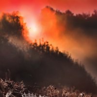 Утро 10 сентября :: Михаил Бибичков