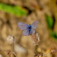 из вчерашней съёмки 2 :: Александр Прокудин