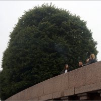 пришли на стрелку :: zavitok * пришли на стрелку :: zavitok *