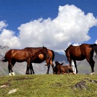 В горах Грузии. Кахетия. :: Ольга Довженко