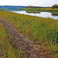 Сентябрь...Фермерское стадо протоптало! :: Владимир Сентябрь...Фермерское стадо протоптало! :: Владимир