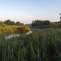 Раннее утро :: Сергей Цветков