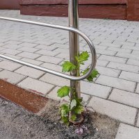 Подружились :: Валерий Иванович Подружились :: Валерий Иванович