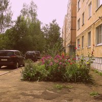 Лето. :: Владимир Драгунский