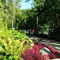 Дорожками Таллинского зоопарка :: Aida10 Дорожками Таллинского зоопарка :: Aida10