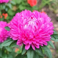 ,,, :: Сергей Тимоновский