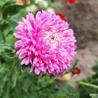 ,,, :: Сергей Тимоновский