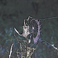 Парус! Порвали парус! ... :: Евгений Корьевщиков