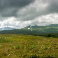 Плато Лаго-Наки, июль :: Игорь Сикорский