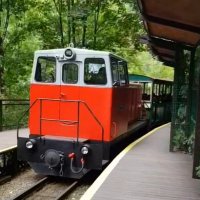 ГУАМСКОЕ УЩЕЛЬЕ :: Tata Wolf