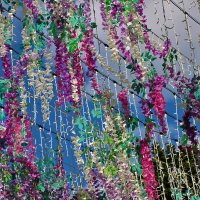 Украшение городского парка :: Светлана 