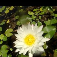 113 (90) :: CLOSE WAYS ALL