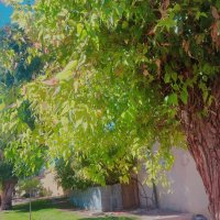 13  ОПЕН (331) :: OPEN WAYS ALL