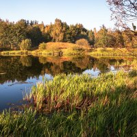 *** :: Игорь Чичиль *** :: Игорь Чичиль