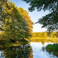 *** :: Игорь Чичиль