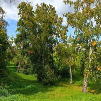 Дыханье осени :: Василий 