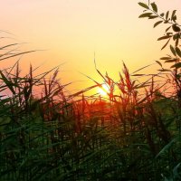 Солнце 2 :: Игорь Тельцов