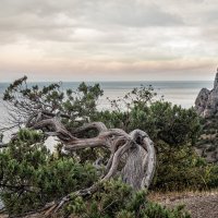 **** :: Вячеслав К