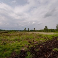 Будущая тропа... :: Николай Гирш