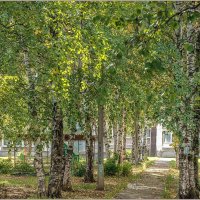 Осенний денёк... :: Aquarius - Сергей