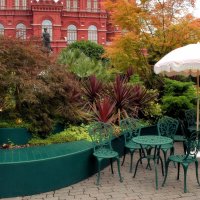 Отдых в тропиках в центре столицы. :: Татьяна Помогалова