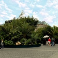 Тропики по-московски. :: Татьяна Помогалова Тропики по-московски. :: Татьяна Помогалова