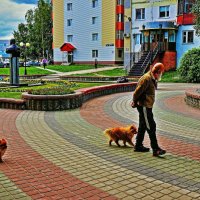 Август...Дедушка и собачки! :: Владимир 