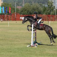 Конкур :: Анатолий Шумилин Конкур :: Анатолий Шумилин