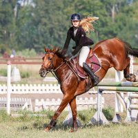 Конкур :: SanSan 