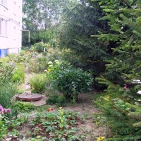 Цветы. :: Владимир Драгунский Цветы. :: Владимир Драгунский