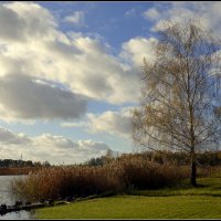 ....уж небо осенбю дышало... :: Aleksandr Gal