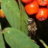 ... :: Андрей Катков