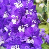 ,,, :: Сергей Тимоновский