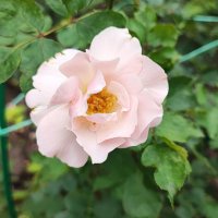 ,,, :: Сергей Тимоновский ,,, :: Сергей Тимоновский