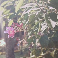 13  ОПЕН (336) :: OPEN WAYS ALL