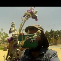 113 (95) :: CLOSE WAYS ALL