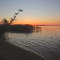 *** :: Сергей Григорьев