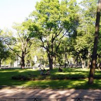 ............. :: vadim 