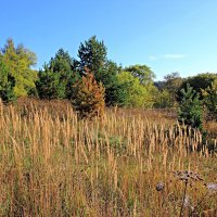 Наступила осень :: Евгений Корьевщиков