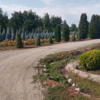 Talgar. :: Murat Bukaev 