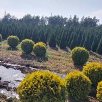 Talgar. :: Murat Bukaev 